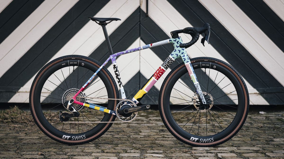 A custom painted Avona Callis gravel bike