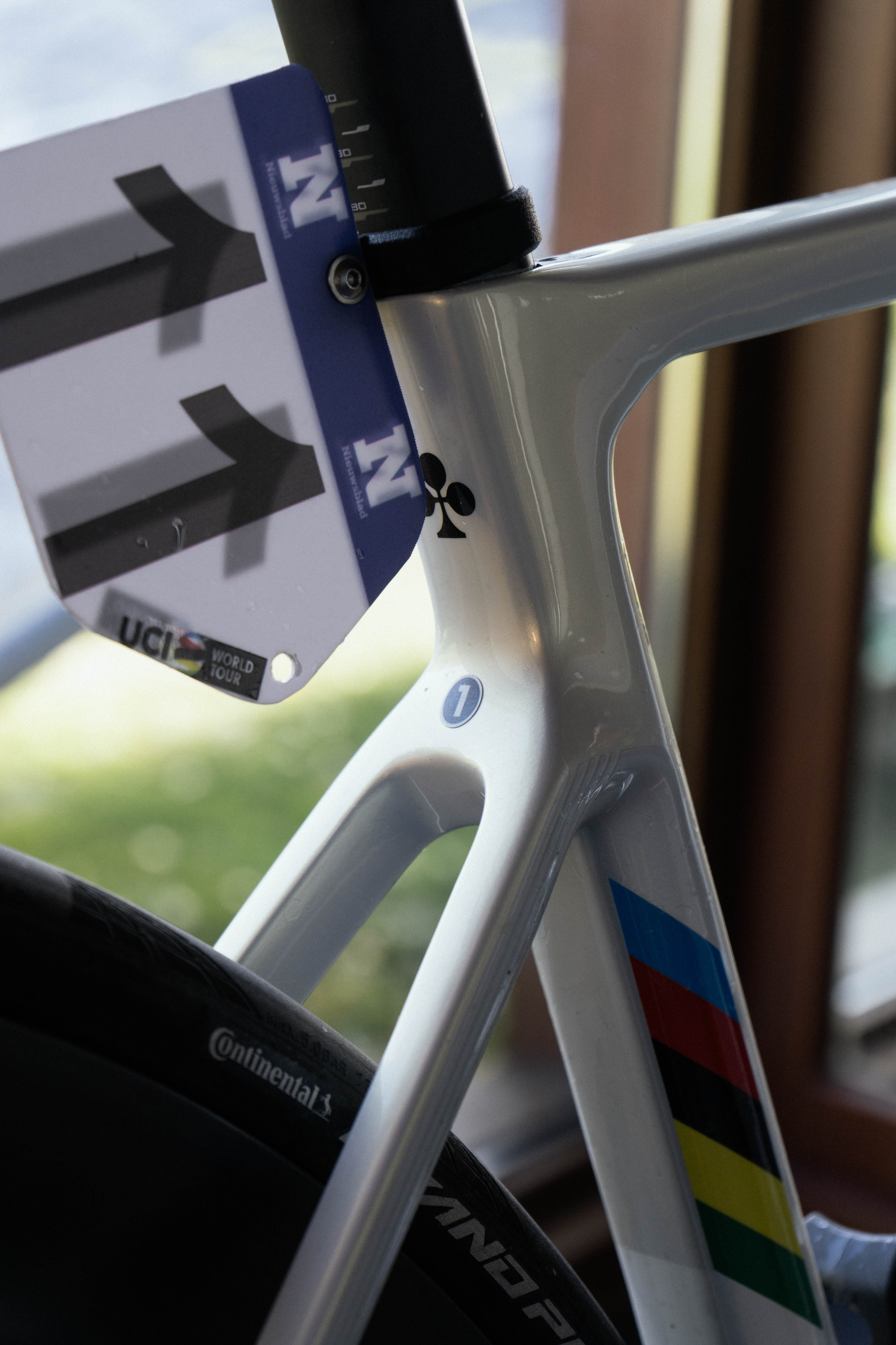 Bicicleta Flandes de Tadej Pogacar