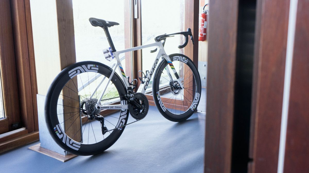 Tadej Pogacar's flanders bike