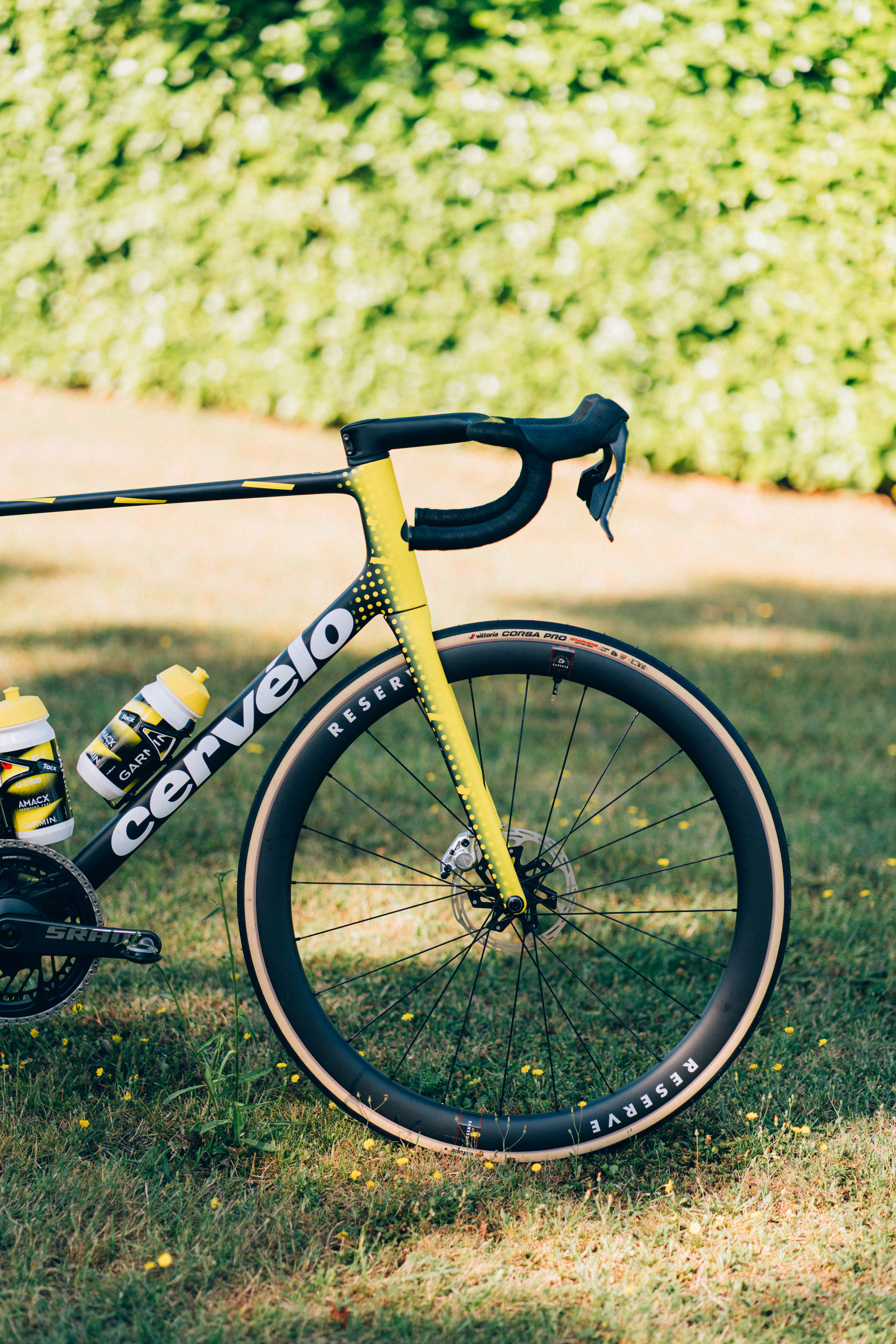 NUEVO CERVELO R5
