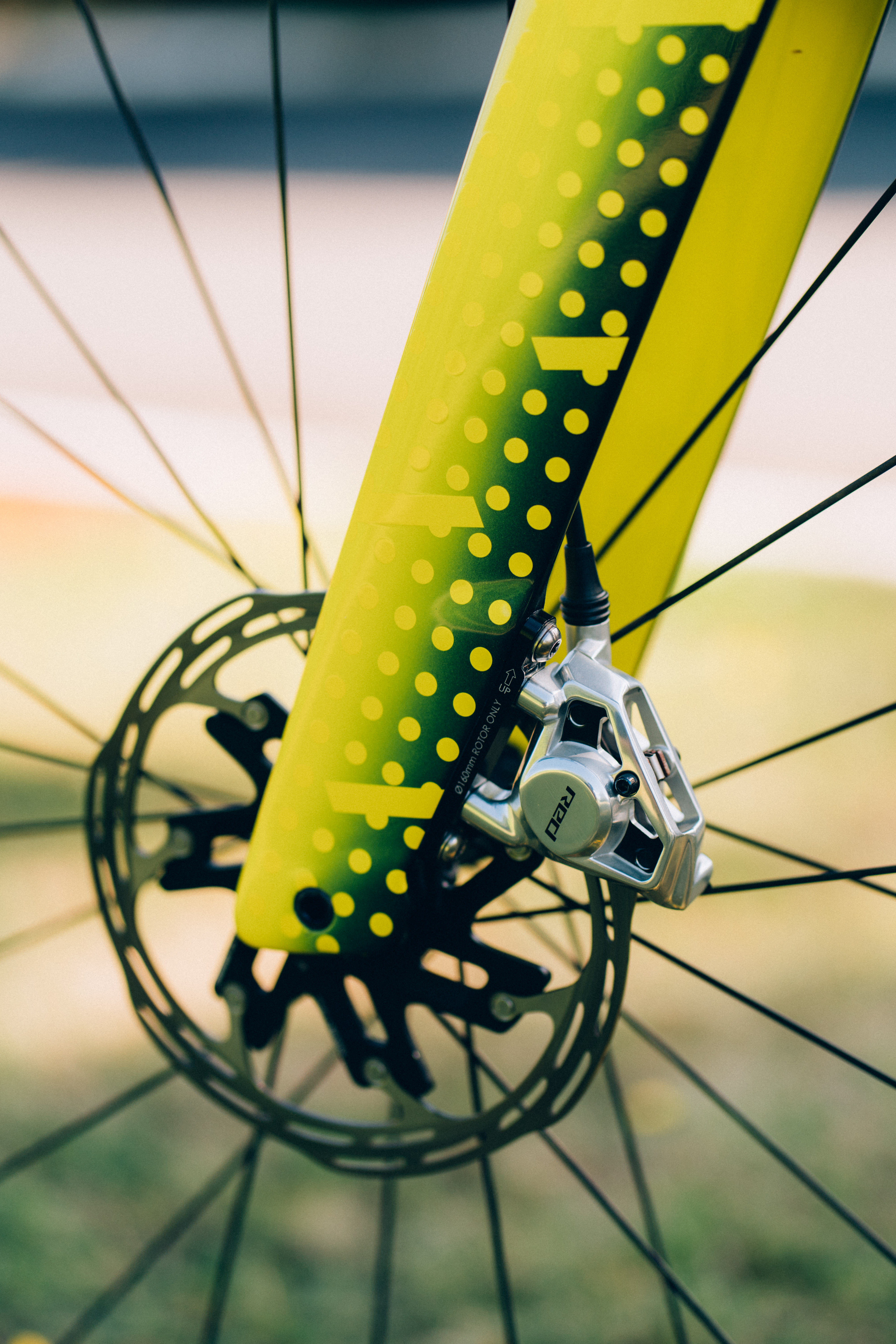 Bicicleta de Jonas Vingegaard