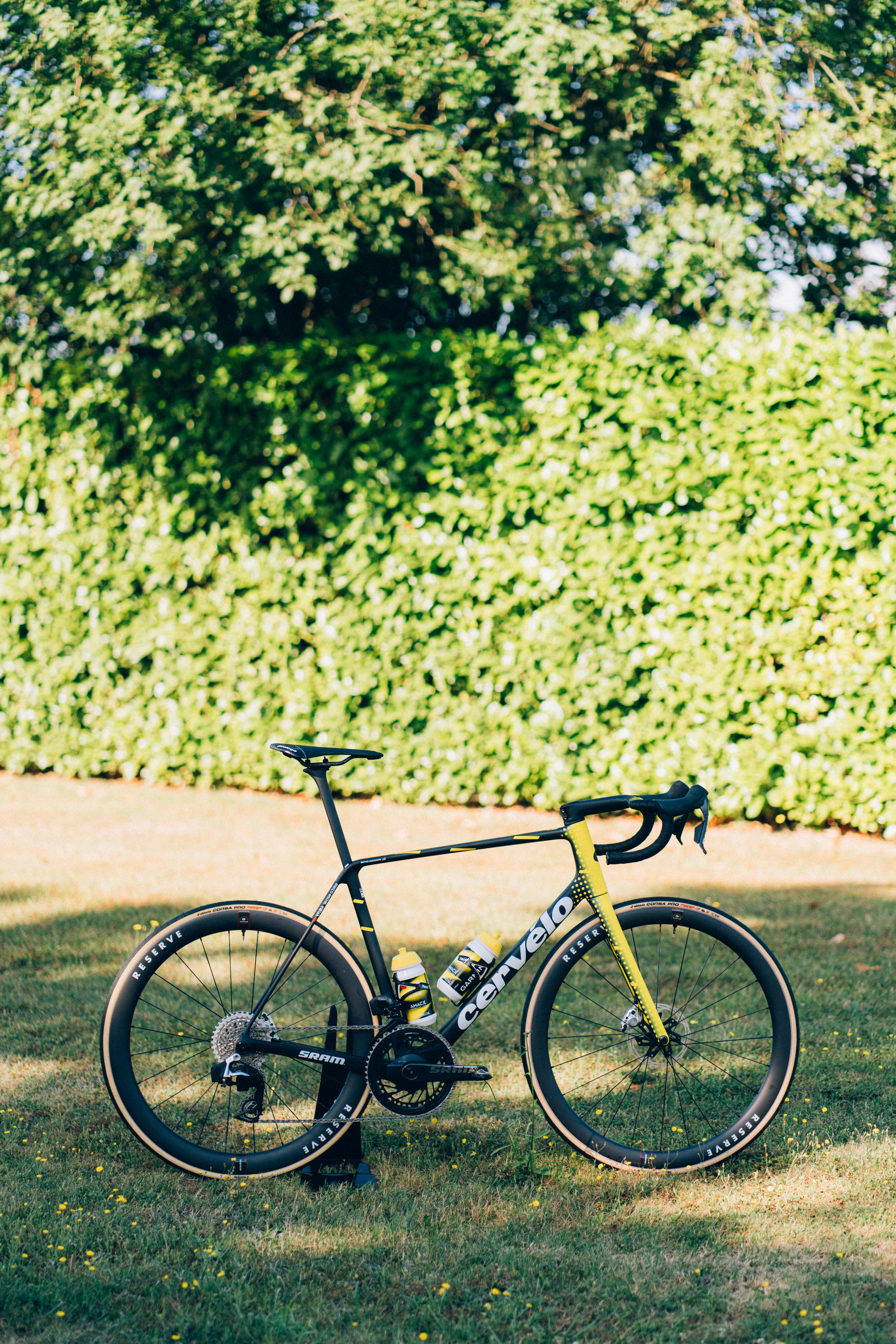 NUEVO CERVELO R5