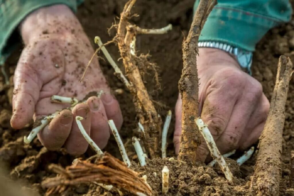 valen hasta 1000 euros