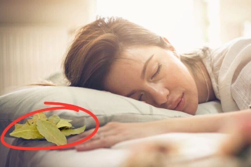 todos ponen hojas de laurel bajo la almohada?