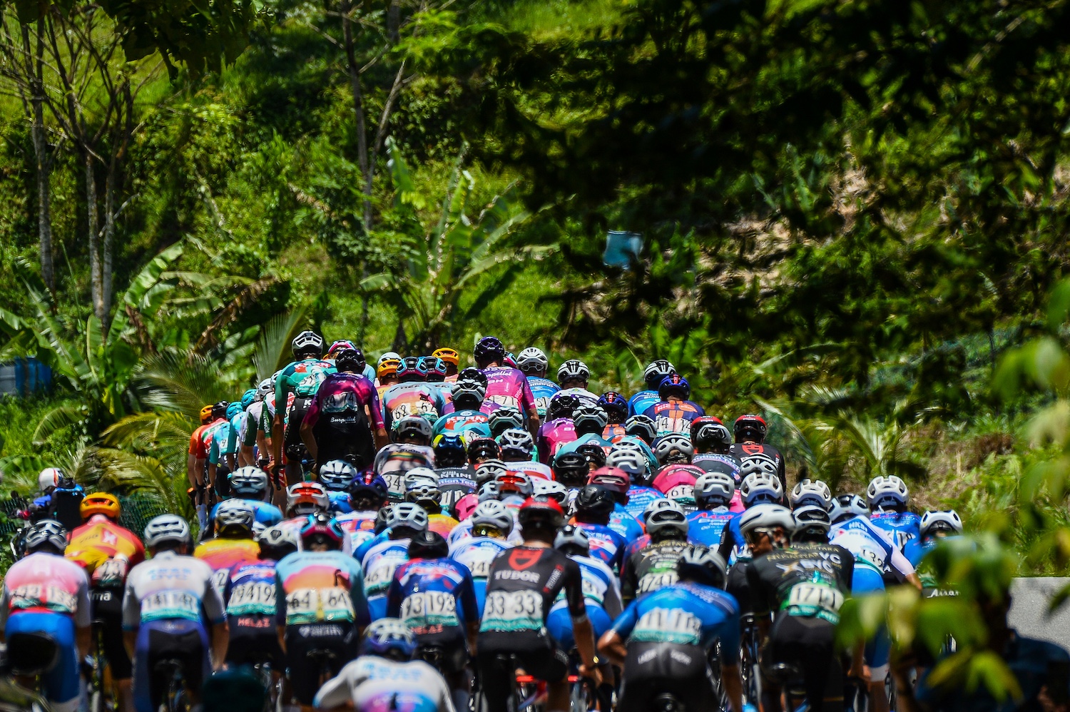 El pelotón del Petronas Le Tour de Langkawi 2025 en la etapa 5
