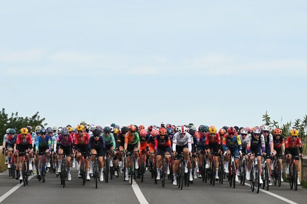 The main peloton in a 2026 professional race
