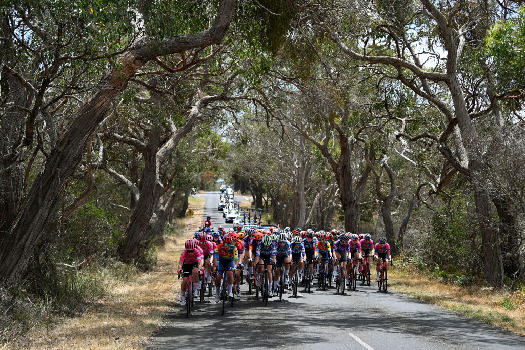TORQUAY, AUSTRALIA - 29 DE ENERO: Una vista general del pelotón pasando por un paisaje durante el segundo Surf Coast Classic 2025, Elite femenino, una carrera de un día de 118,6 km desde Lorne a Torquay el 29 de enero de 2025 en Torquay, Australia. (Foto de Dario Belingheri/Getty Images)