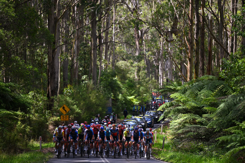 TORQUAY, AUSTRALIA - 25 DE ENERO: Una vista general del pelotón pasando por un paisaje durante el segundo Surf Coast Classic 2024, Elite masculino, una carrera de un día de 155 km desde Lorne a Torquay el 25 de enero de 2024 en Torquay, Australia. (Foto de Tim de Waele/Getty Images)