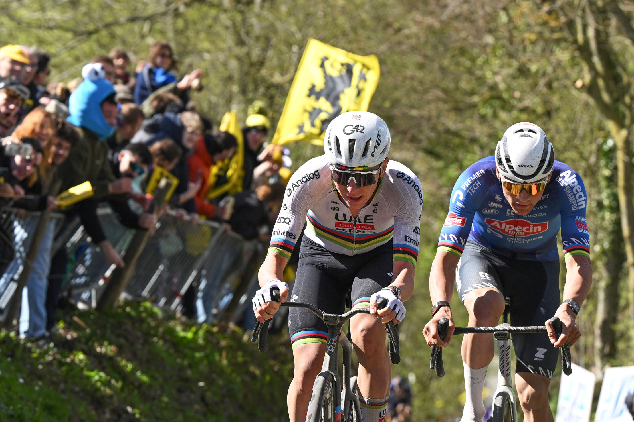OUDENAARDE, BÉLGICA - 5 DE ABRIL: (LR) Tadej Pogacar de Eslovenia y UAE Team Emirates - XRG y Mathieu van der Poel de Holanda y Team Alpecin-Premier Tech compiten en la escapada que pasa por el sector de adoquines de Koppenberg mientras los fanáticos animan durante el 110º Tour de Flandes - Ronde van Vlaanderen 2026 - Elite masculina Carrera de un día de 278,6 km desde Amberes a Oudenaarde / #UCIWT / el 5 de abril de 2026 en Oudenaarde, Bélgica. (Foto de Dario Belingheri/Getty Images)