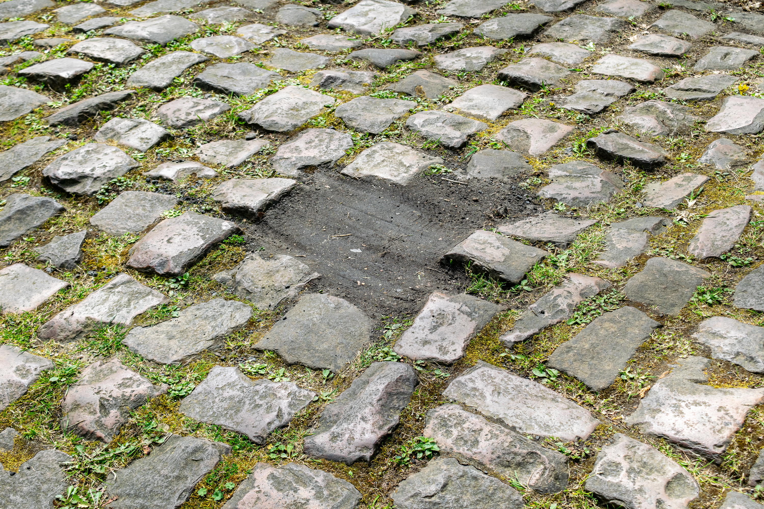 Un tramo de la trinchera de Arenberg reparado porque faltaba un adoquín