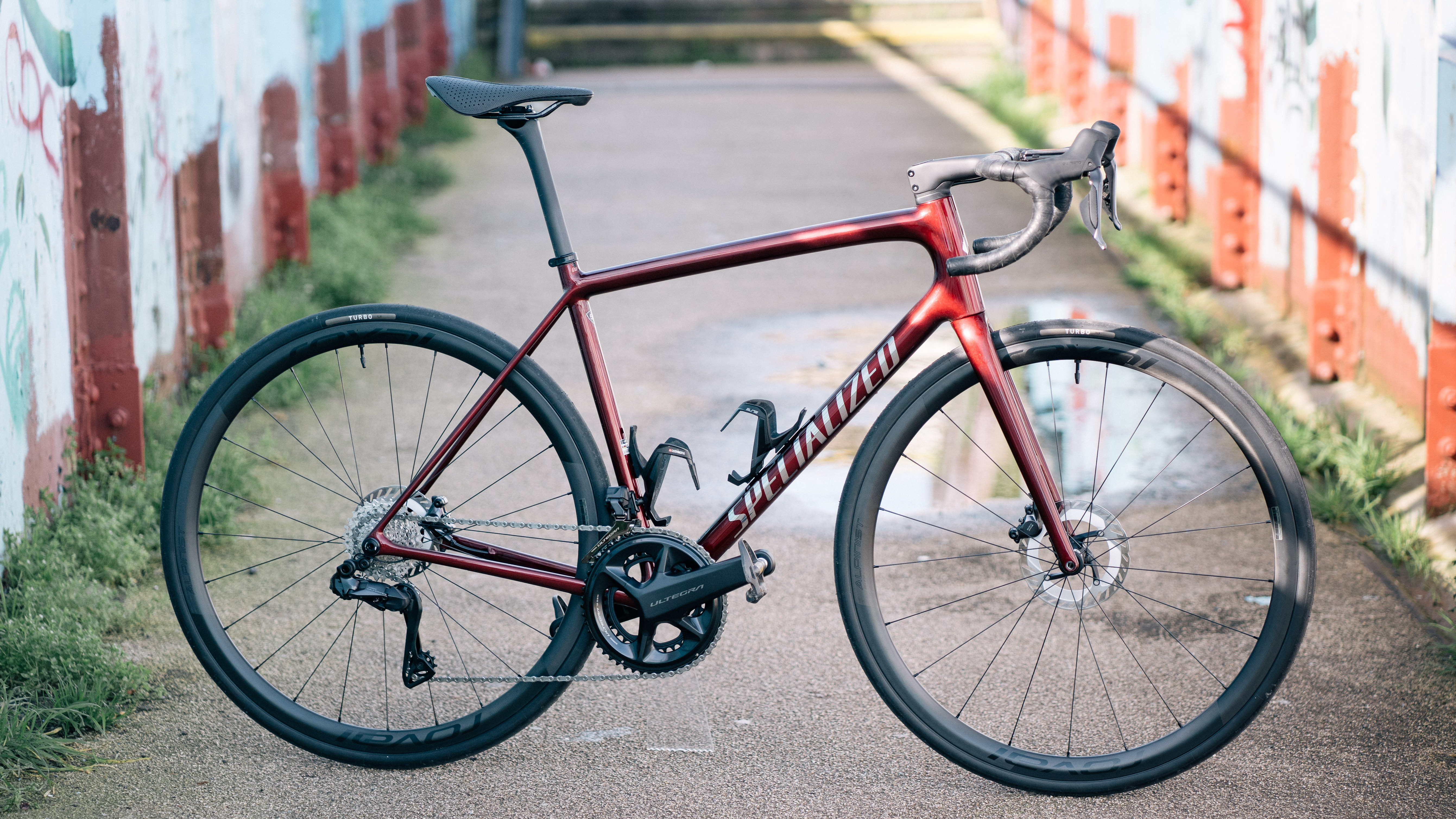 Éthos especializado