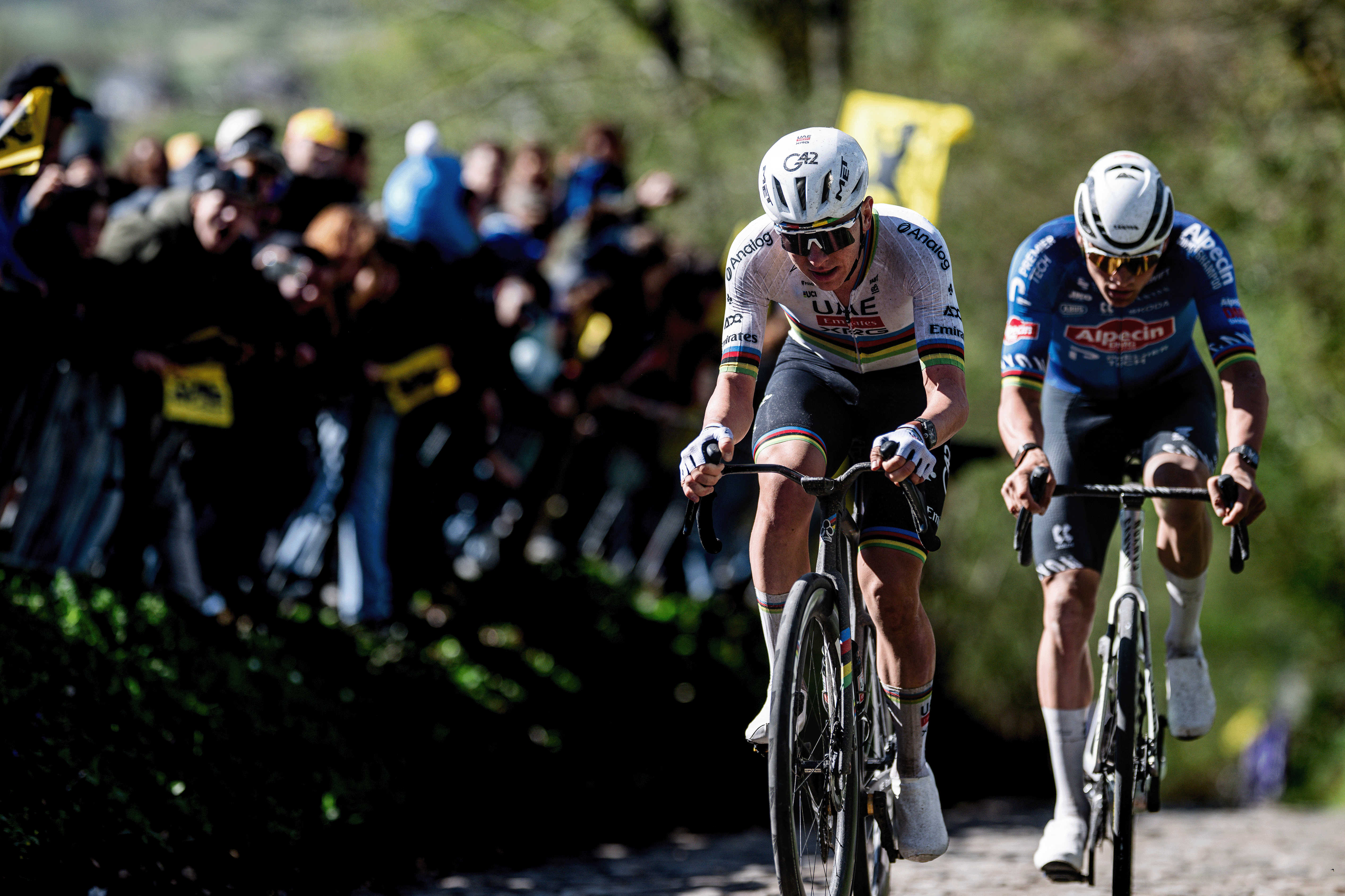 OUDENAARDE, BÉLGICA - 5 DE ABRIL: (LR) Tadej Pogacar de Eslovenia y UAE Team Emirates - XRG y Mathieu van der Poel de Holanda y Team Alpecin-Premier Tech compiten en la escapada que pasa por el sector de adoquines de Koppenberg mientras los fanáticos animan durante el 110º Tour de Flandes - Ronde van Vlaanderen 2026 - Elite masculina Carrera de un día de 278,6 km desde Amberes a Oudenaarde el 5 de abril de 2026 en Oudenaarde, Bélgica. (Foto de Billy Ceusters/Getty Images)