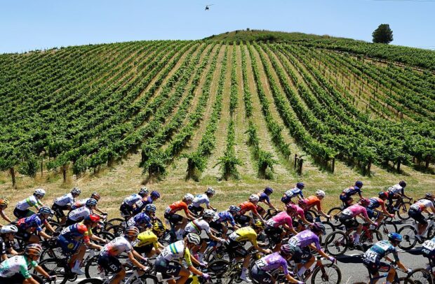CAMPBELLTOWN, AUSTRALIA - JANUARY 19: A general view of the peloton competing during the 10th Santos Women's Tour Down Under 2026, Stage 3 a 126.5km stage from Norwood to Campbelltown / #UCIWWT / on January 19, 2026 in Campbelltown, Australia. (Photo by Con Chronis/Getty Images)