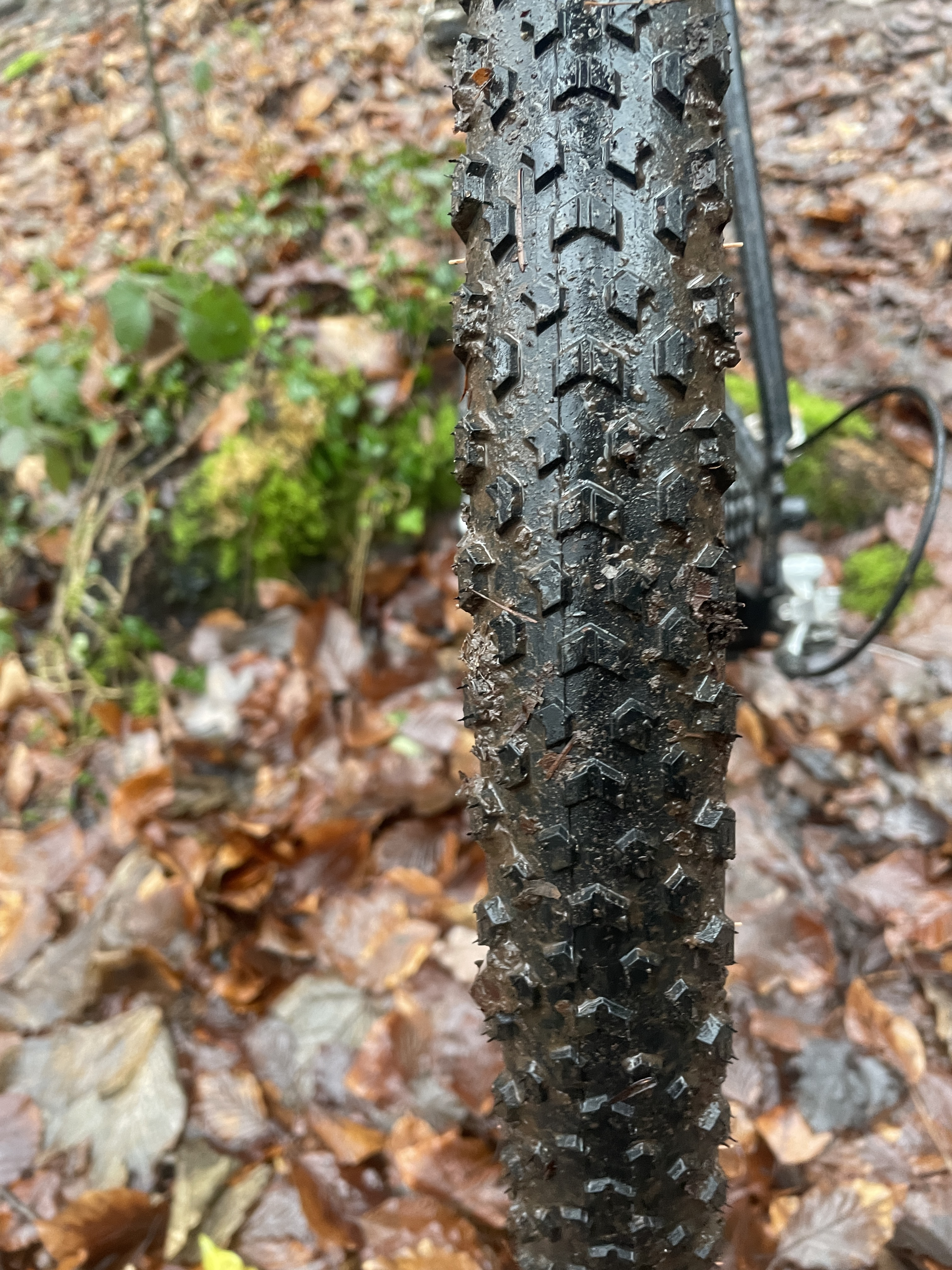 Neumático Pirelli para grava