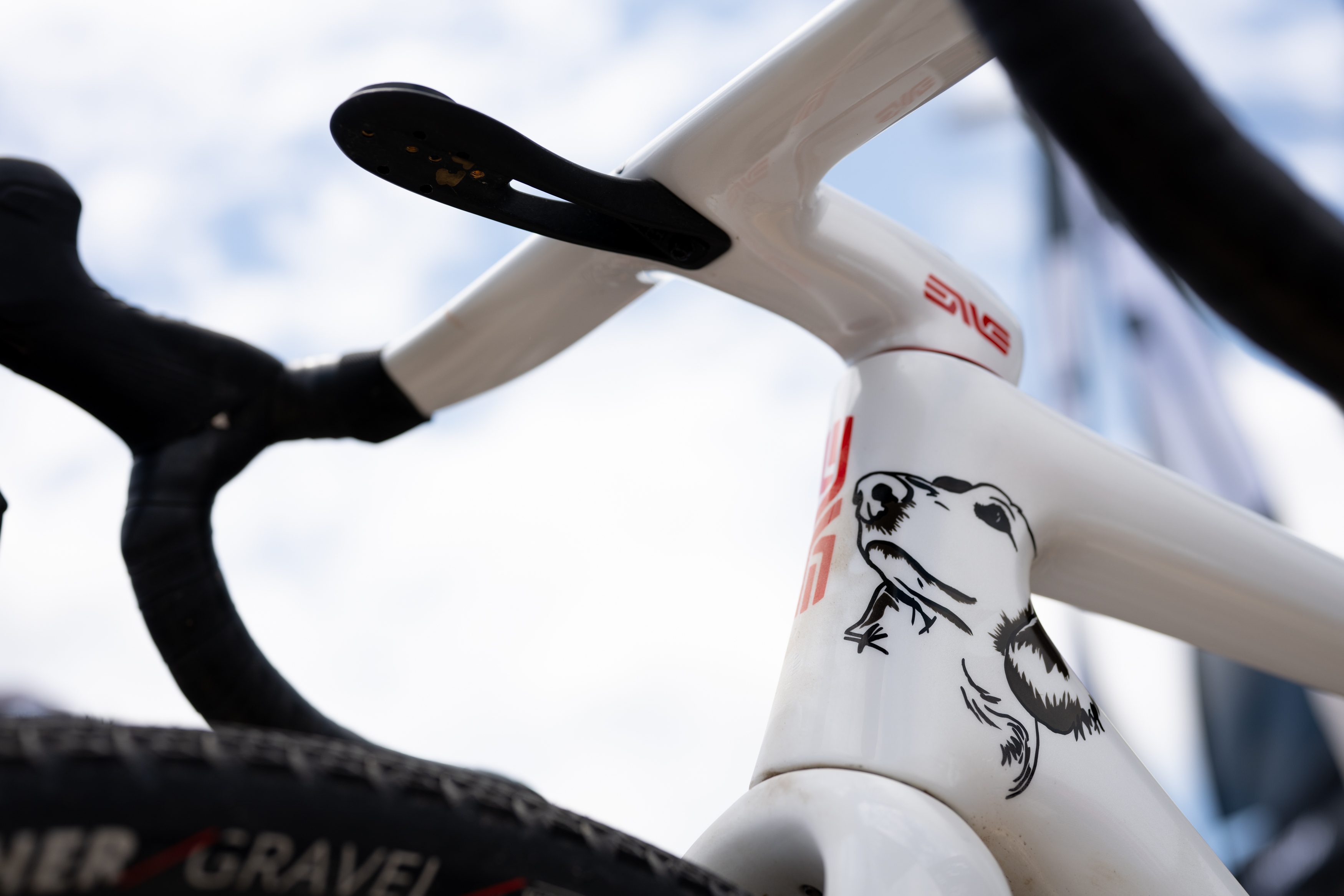 Bicicleta para perros Enve Mog pintada a medida de Alexey Vermeulen para Unbound Gravel