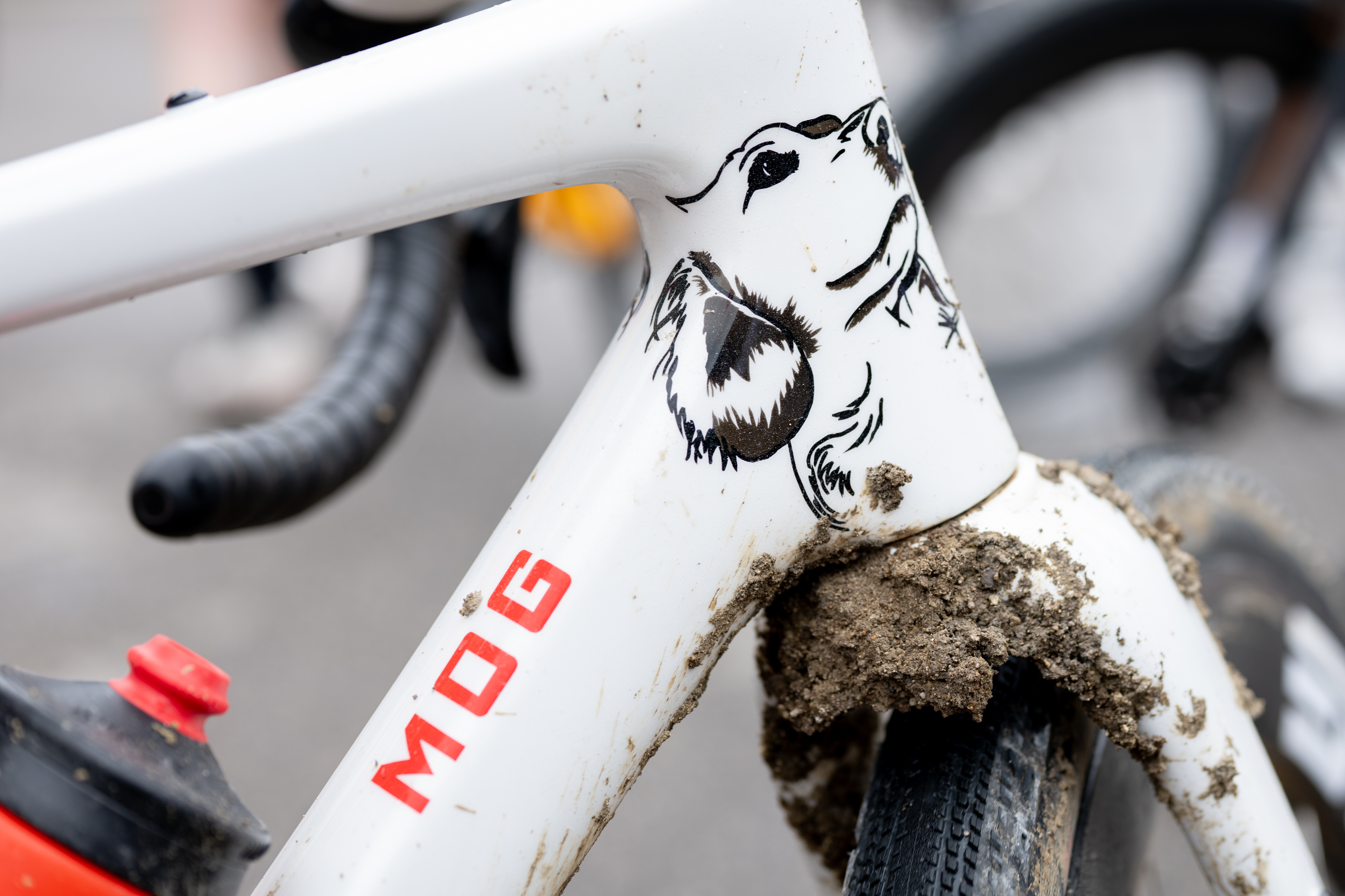 Bicicleta para perros Enve Mog pintada a medida de Alexey Vermeulen para Unbound Gravel