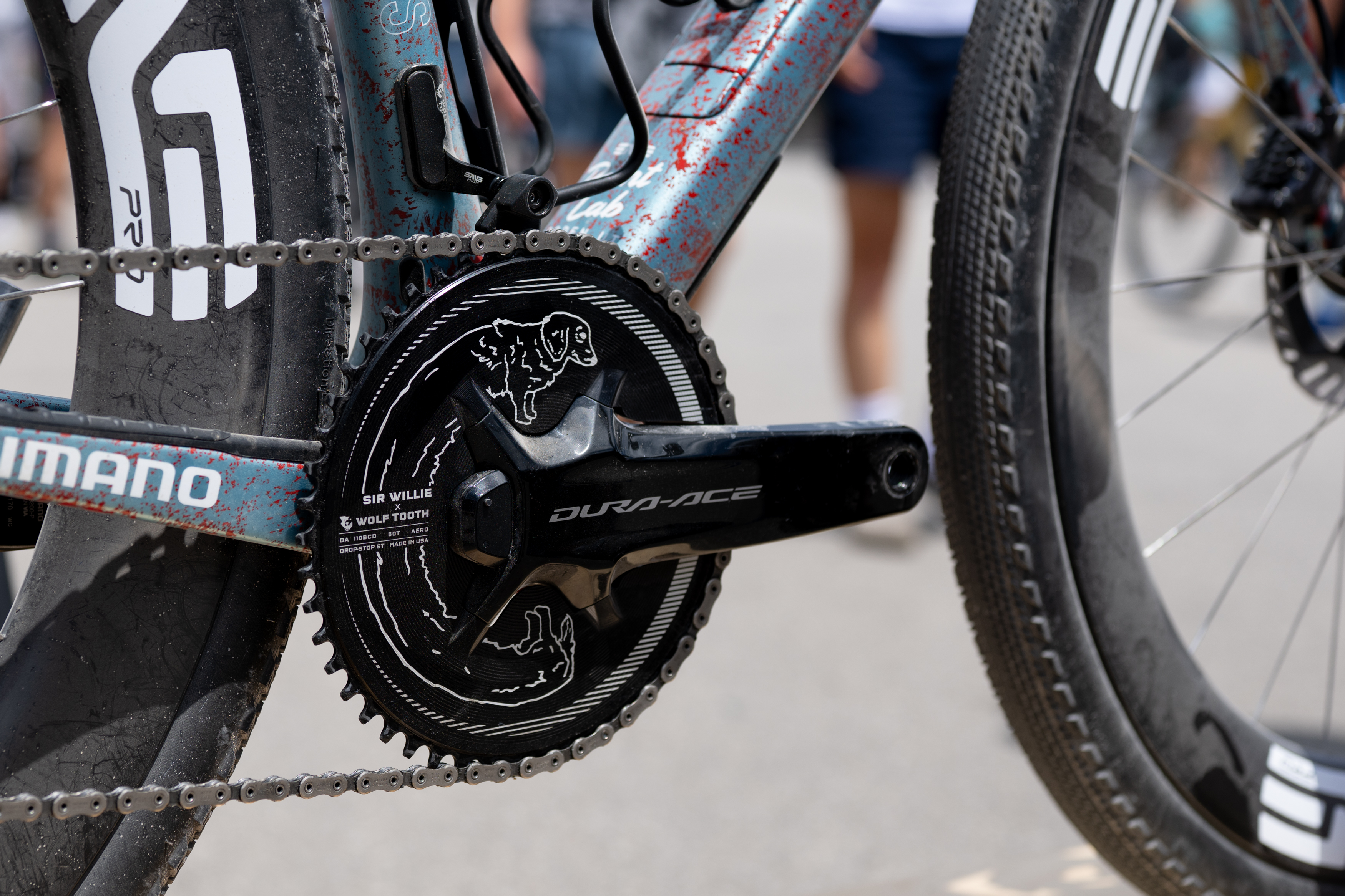 Bicicleta para perros Enve Mog pintada a medida de Alexey Vermeulen para Unbound Gravel