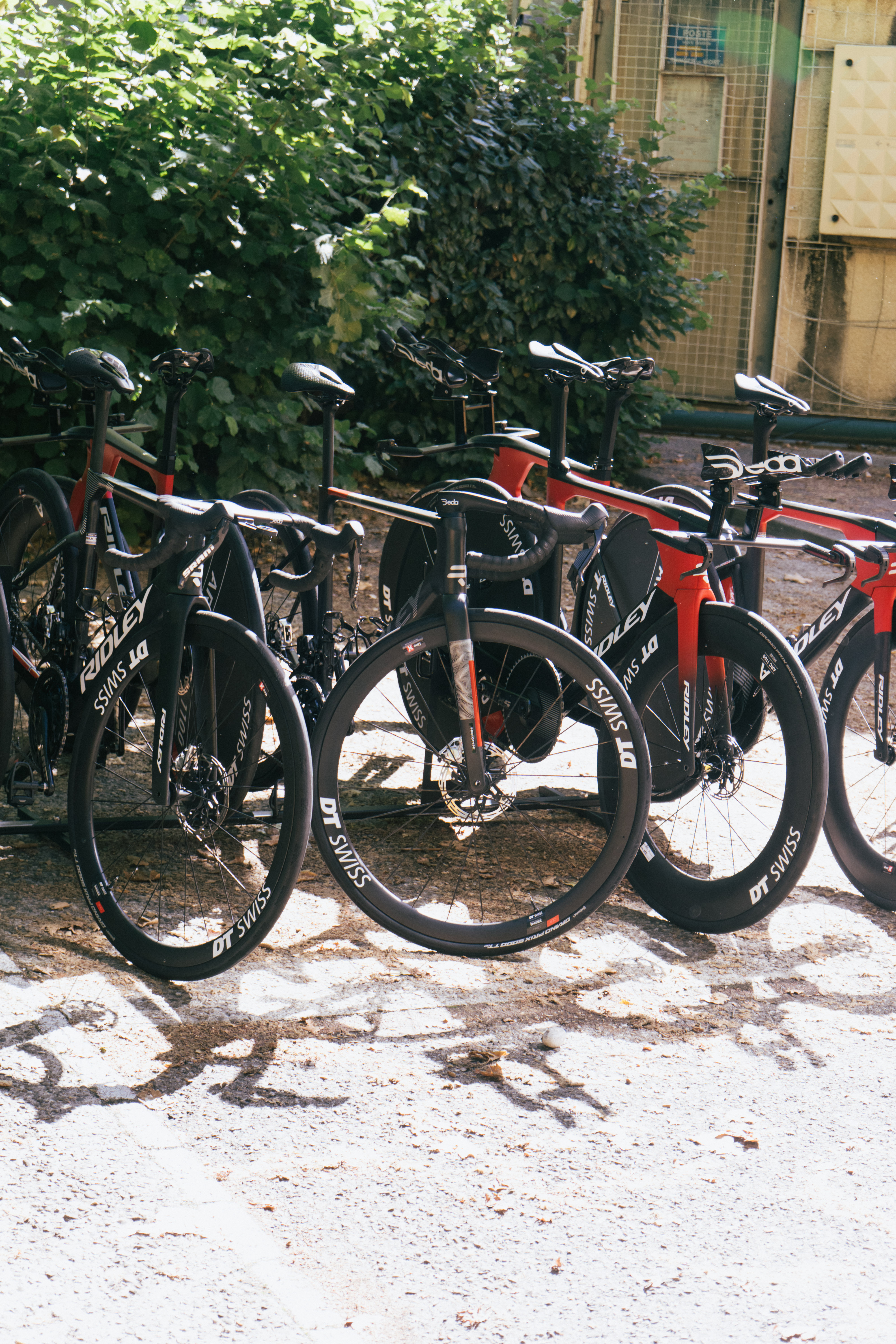 Prototipo Ridley