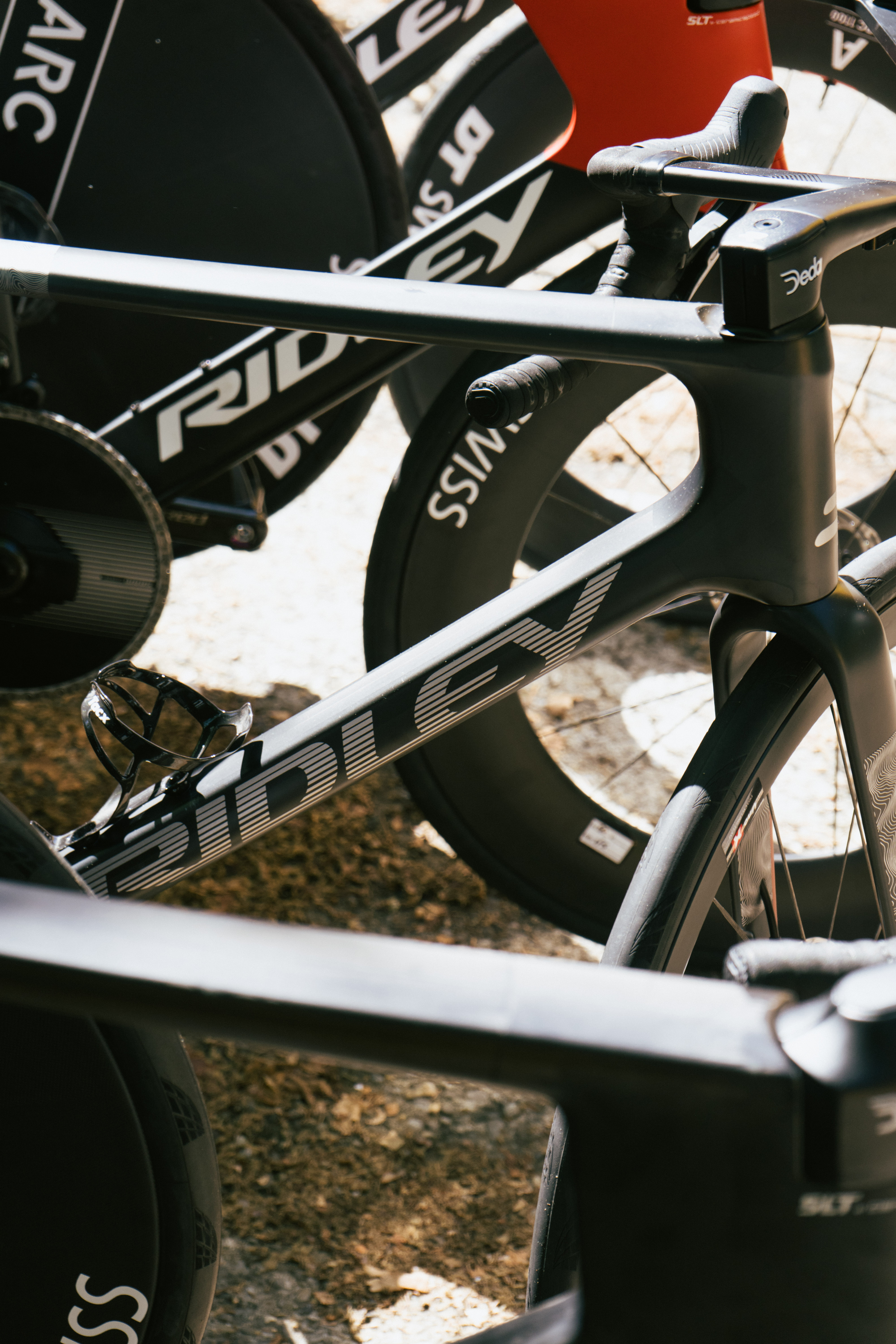 Prototipo Ridley