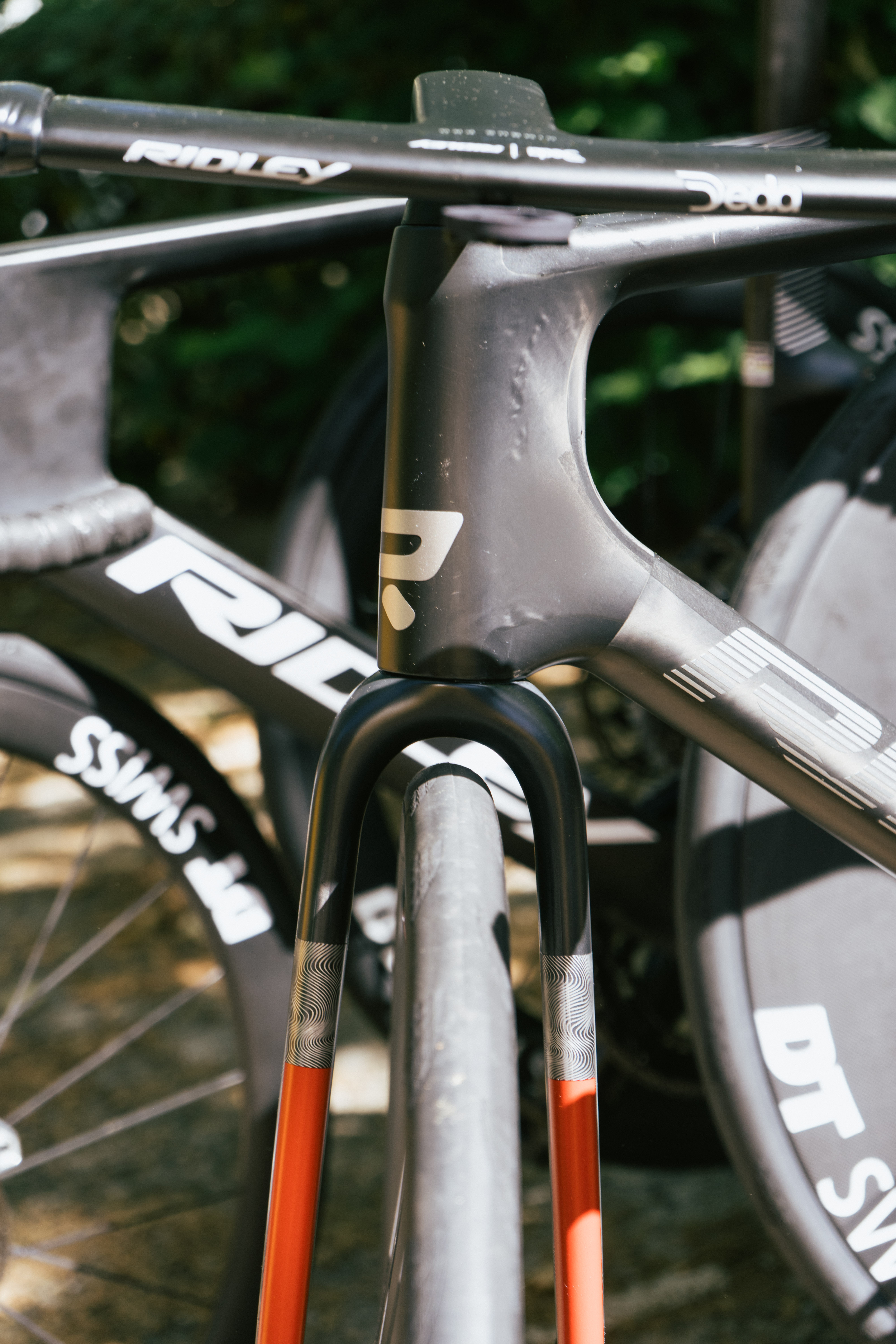 Prototipo Ridley
