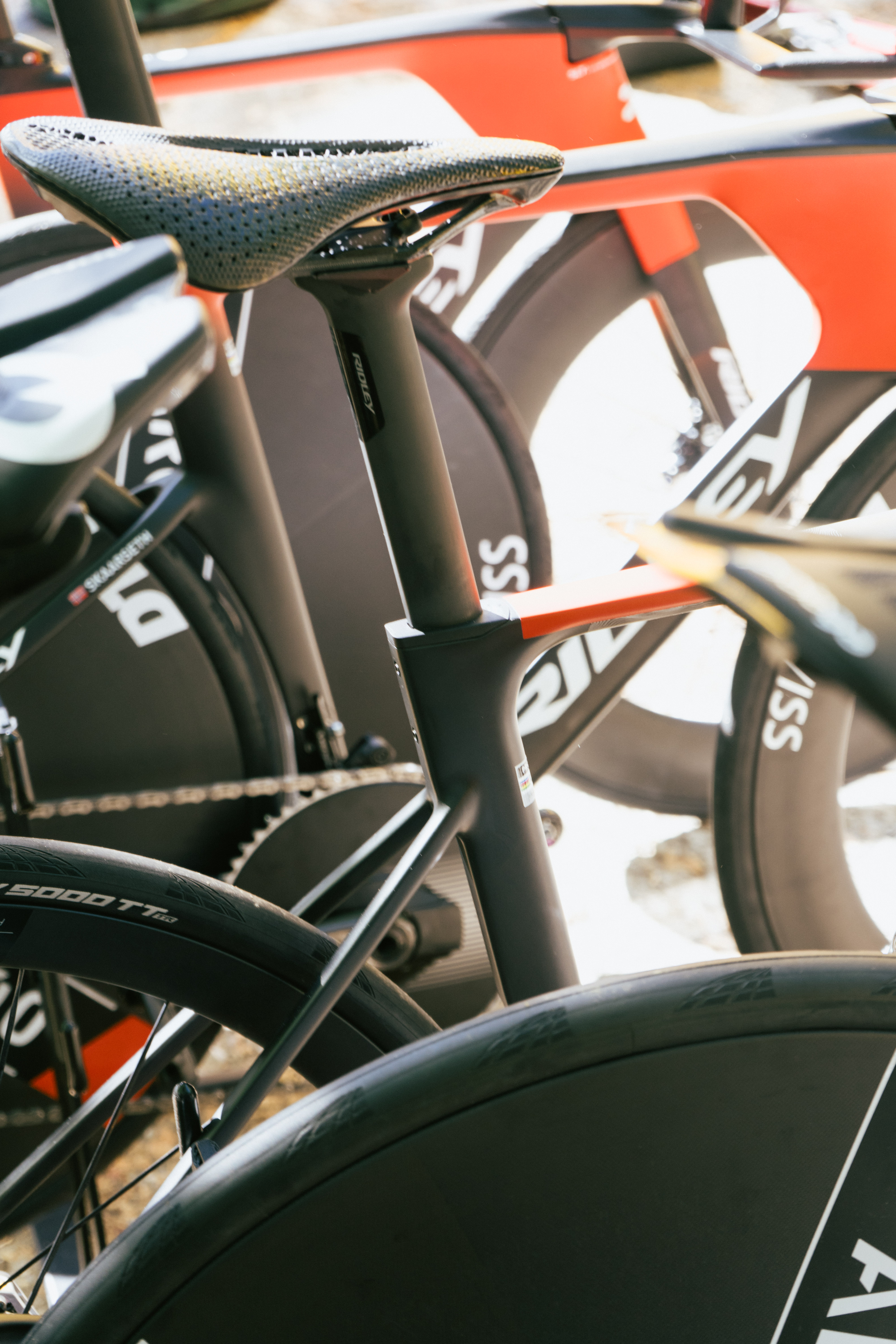 Prototipo Ridley