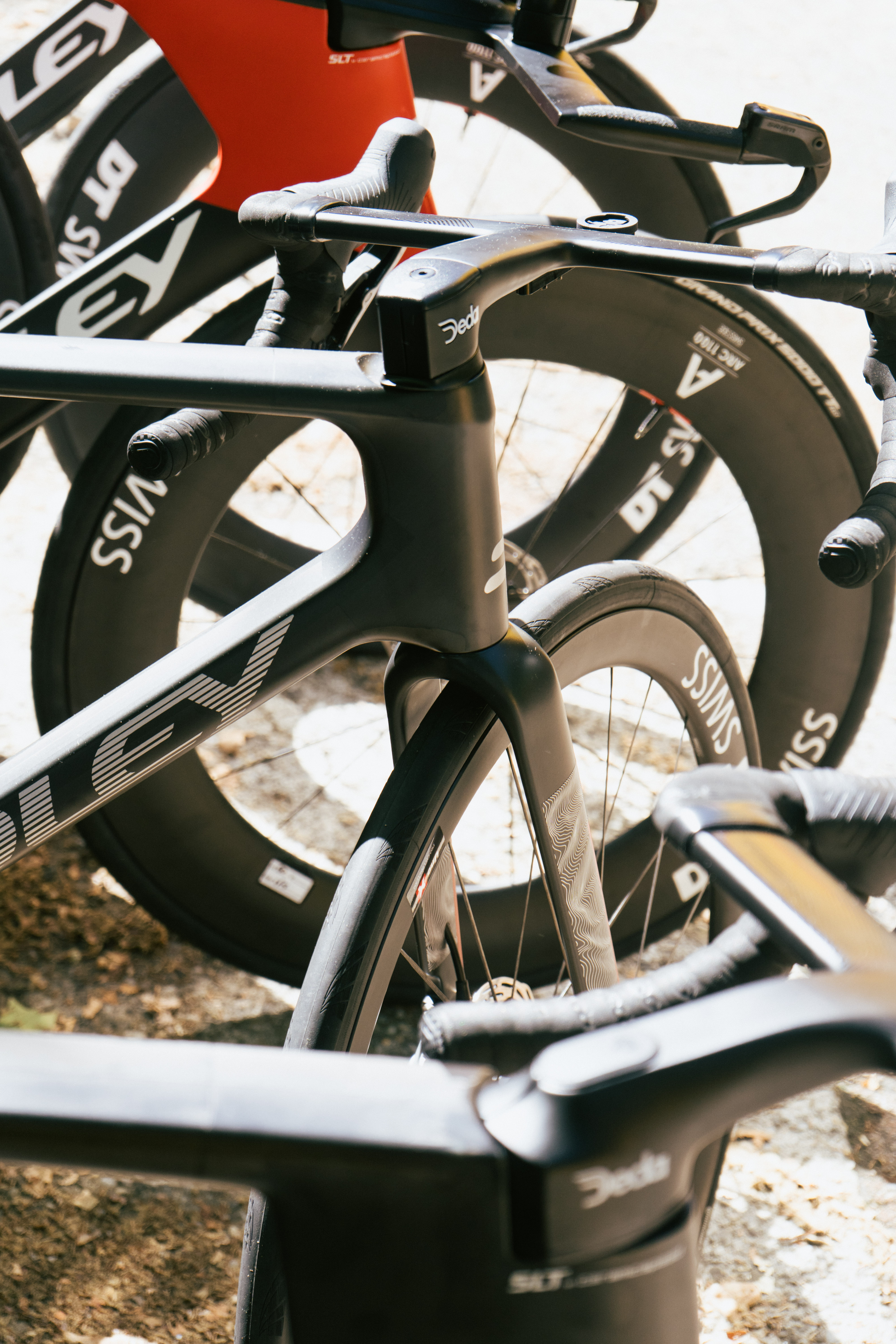 Prototipo Ridley