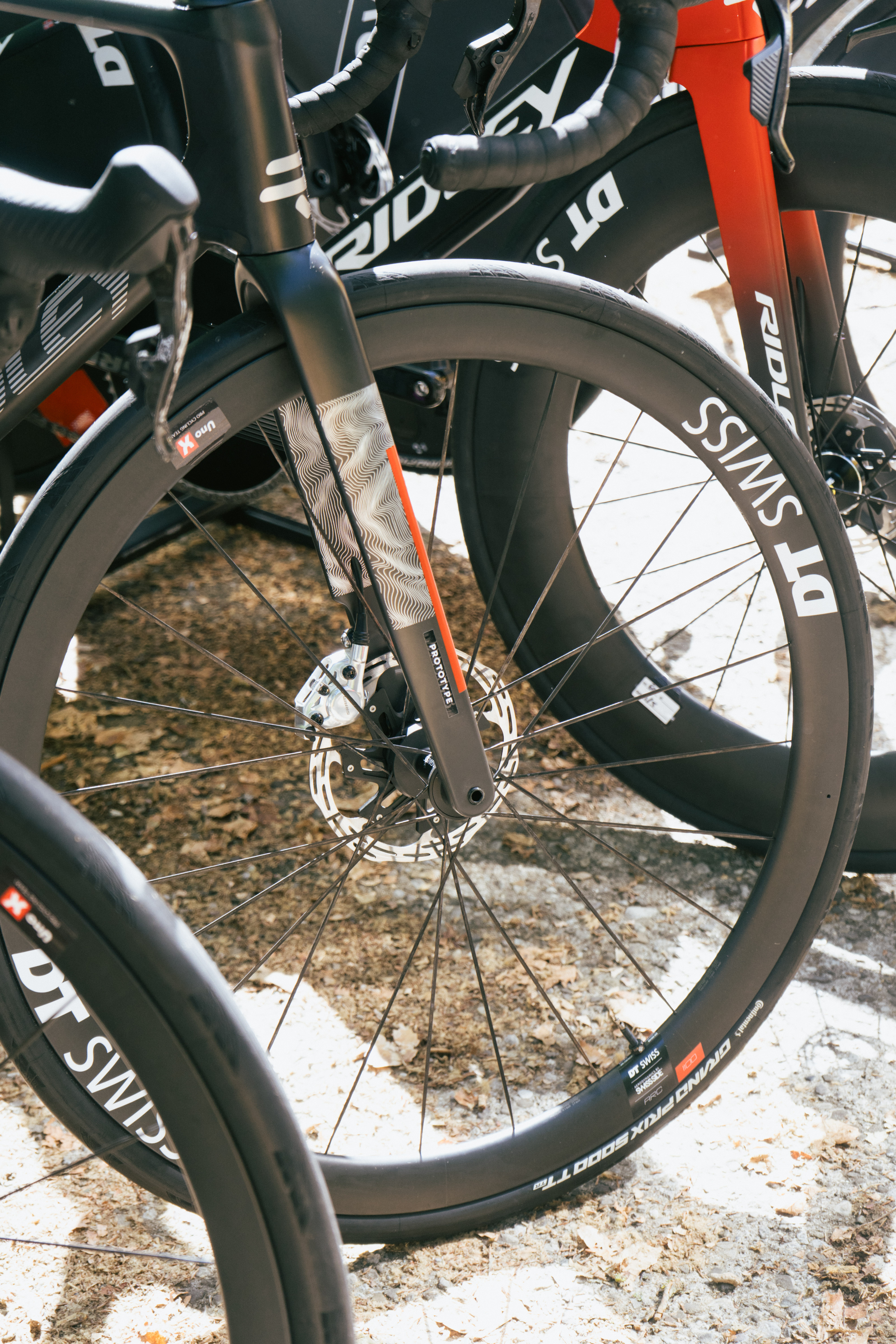 Prototipo Ridley