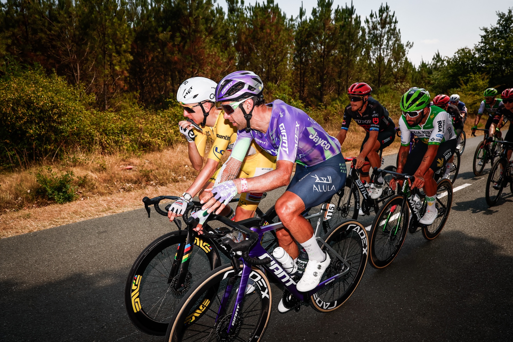 El esloveno Tadej Pogacar del equipo Emirates XRG de los Emiratos Árabes Unidos y el australiano Michael Matthews del equipo Jayco AlUla fotografiados en acción durante la etapa 7 de la carrera ciclista Tour de Francia 2026, a 175 km de Hagetmau a Burdeos, el viernes 10 de julio de 2026. La 113.ª edición del Tour de Francia comienza el sábado 4 de julio en Barcelona, ​​España, y finalizará en París, Francia, el 26 de julio. BELGA FOTO PISCINA LUCA BETTINI (Foto de POOL LUCA BETTINI / BELGA MAG / Belga vía AFP)