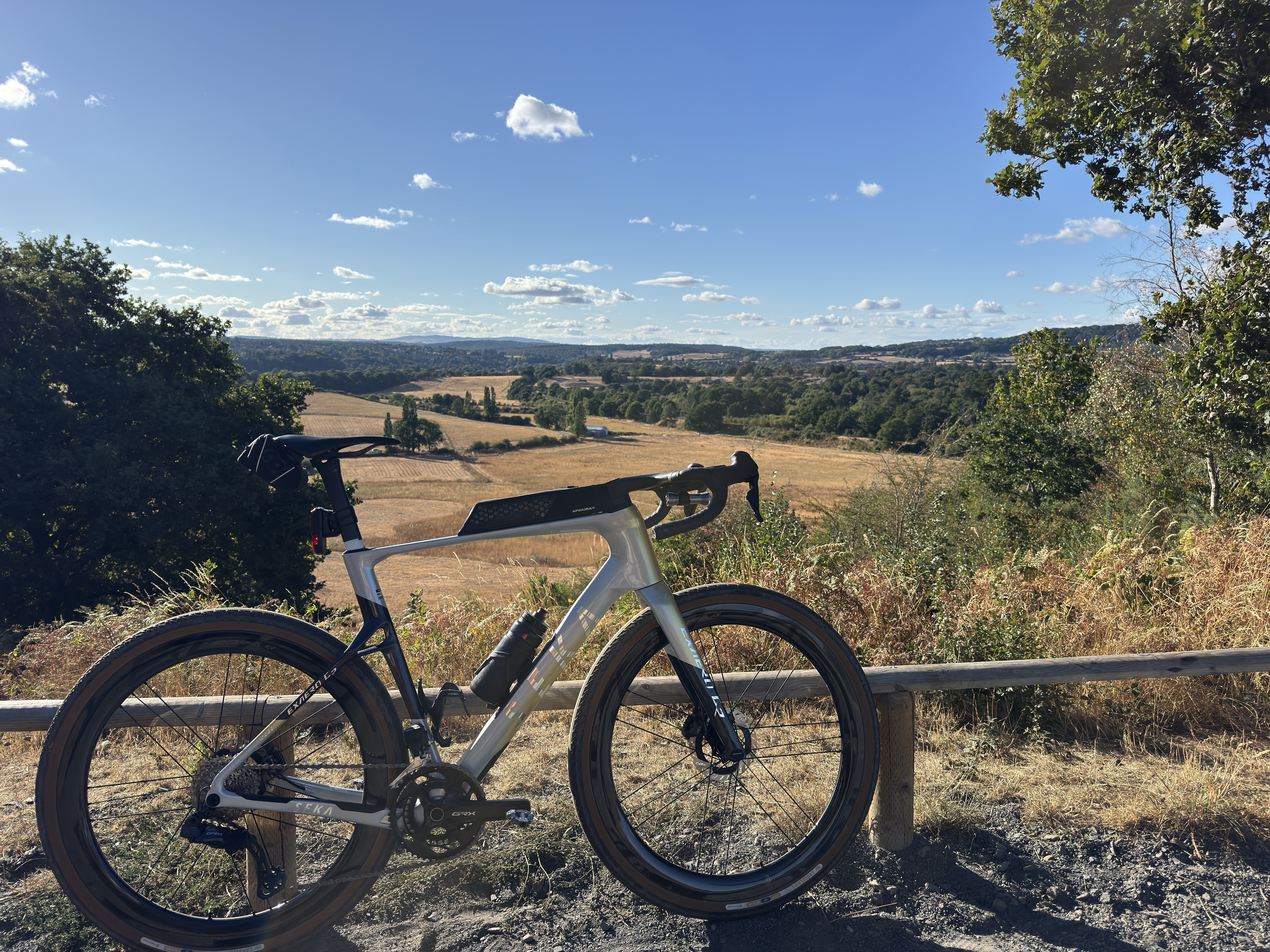 Juego de ruedas Campagnolo Bora X